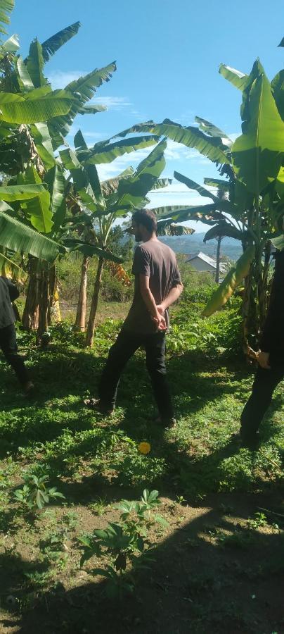 Homestay Karleta Ruteng