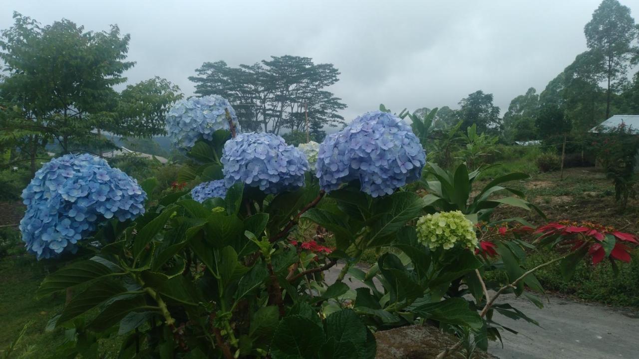 Homestay Karleta Ruteng
