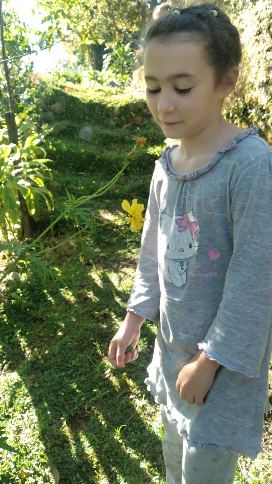 Karleta Homestay